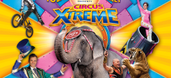 Ringling Brothers Circus