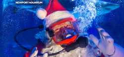 Scuba Santa